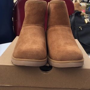 Chestnut Katrina Uggs
